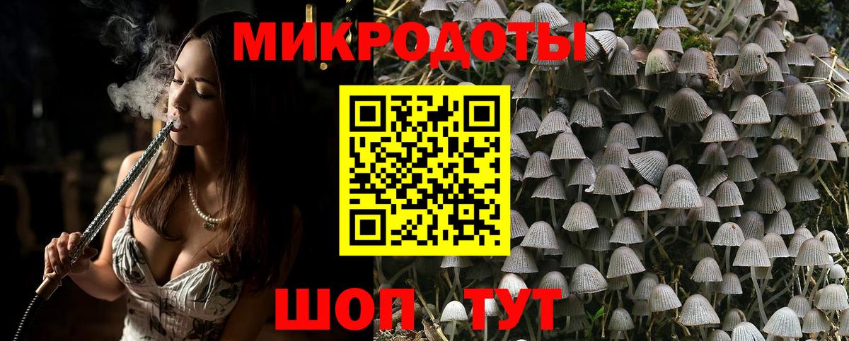 дарнет шоп  Галлюциногенные грибы Psilocybe  Вход с VPN  Нарьян-Мар 