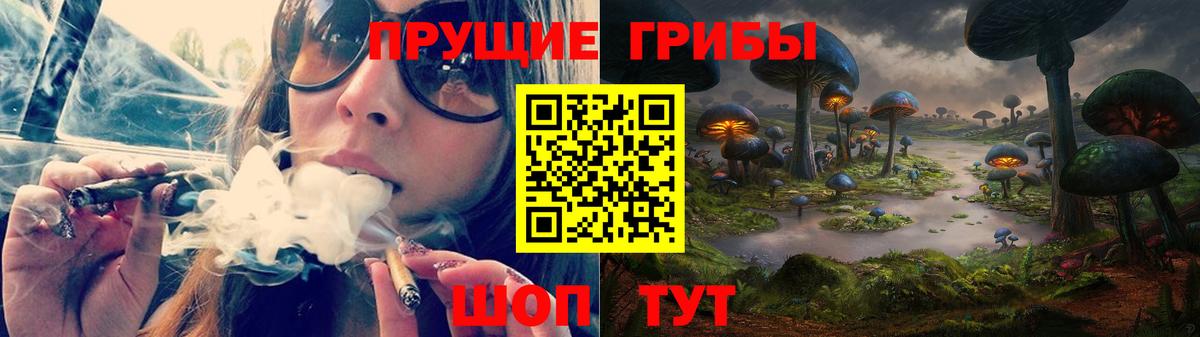 Псилоцибиновые грибы мицелий Нарьян-Мар