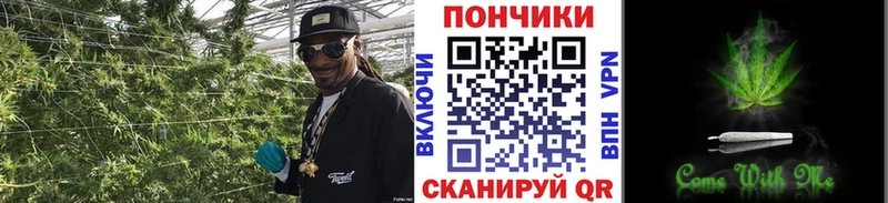 где купить   Нарьян-Мар  Каннабис AK-47 